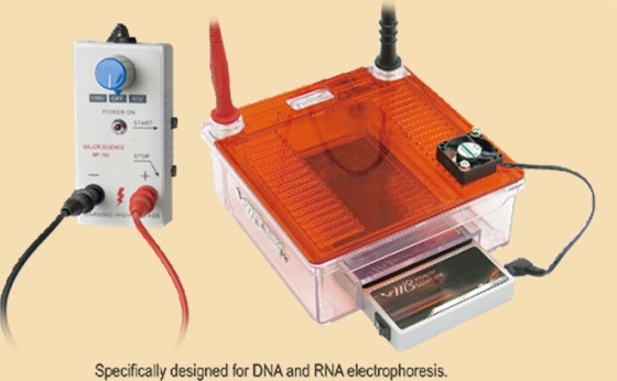 不論是核酸電泳、蛋白質(zhì)電泳、印實(shí)驗(yàn)等各種水平電泳或垂直電泳，梅潔電泳儀是您每天跑膠實(shí)驗(yàn)的最好選擇