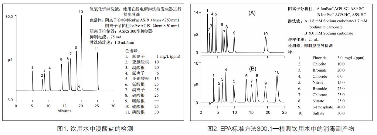 戴安ICS-600實(shí)用案例