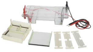 31DN型 水平瓊脂糖電泳槽